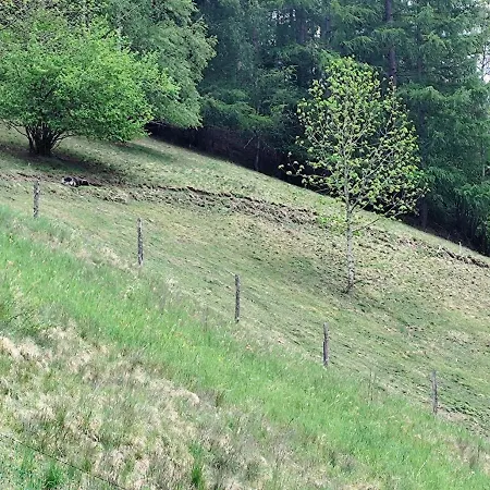 Nature Spot For Campers, Travelers & Rainbow People Accommodatie bij particulieren *